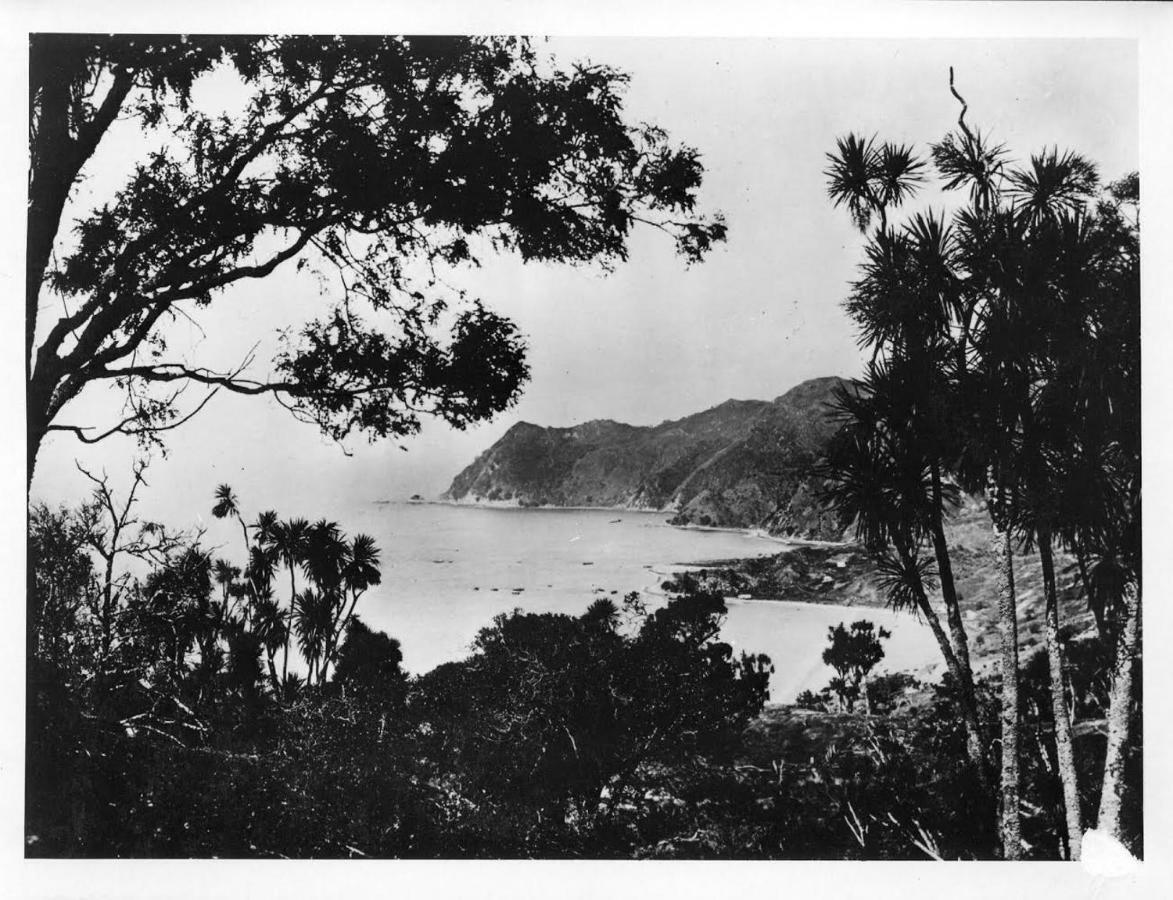 Waipiro Bay Paradise Bed & Breakfast Te Puia Exterior photo